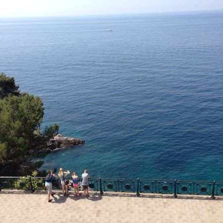 Happy Dubrovnik Centre-Free Parking Apartment Bagian luar foto